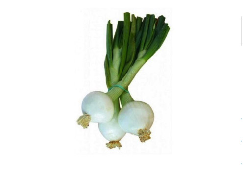 Cebolla Pom